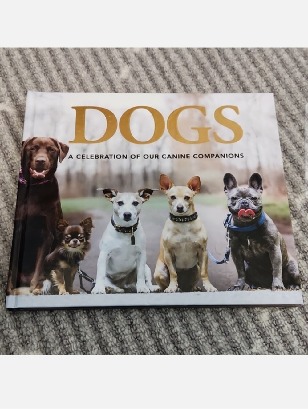 Dogs A Celebration Of Our Canine Companions Breed Book